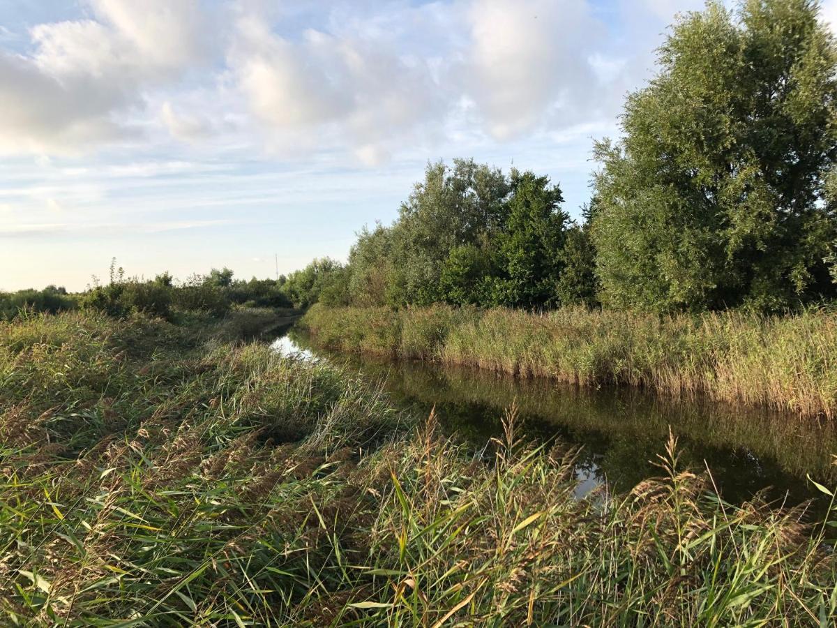 De Luxe Met Veel Faciliteiten Dichtbij En Natuurgebied Westkapelle