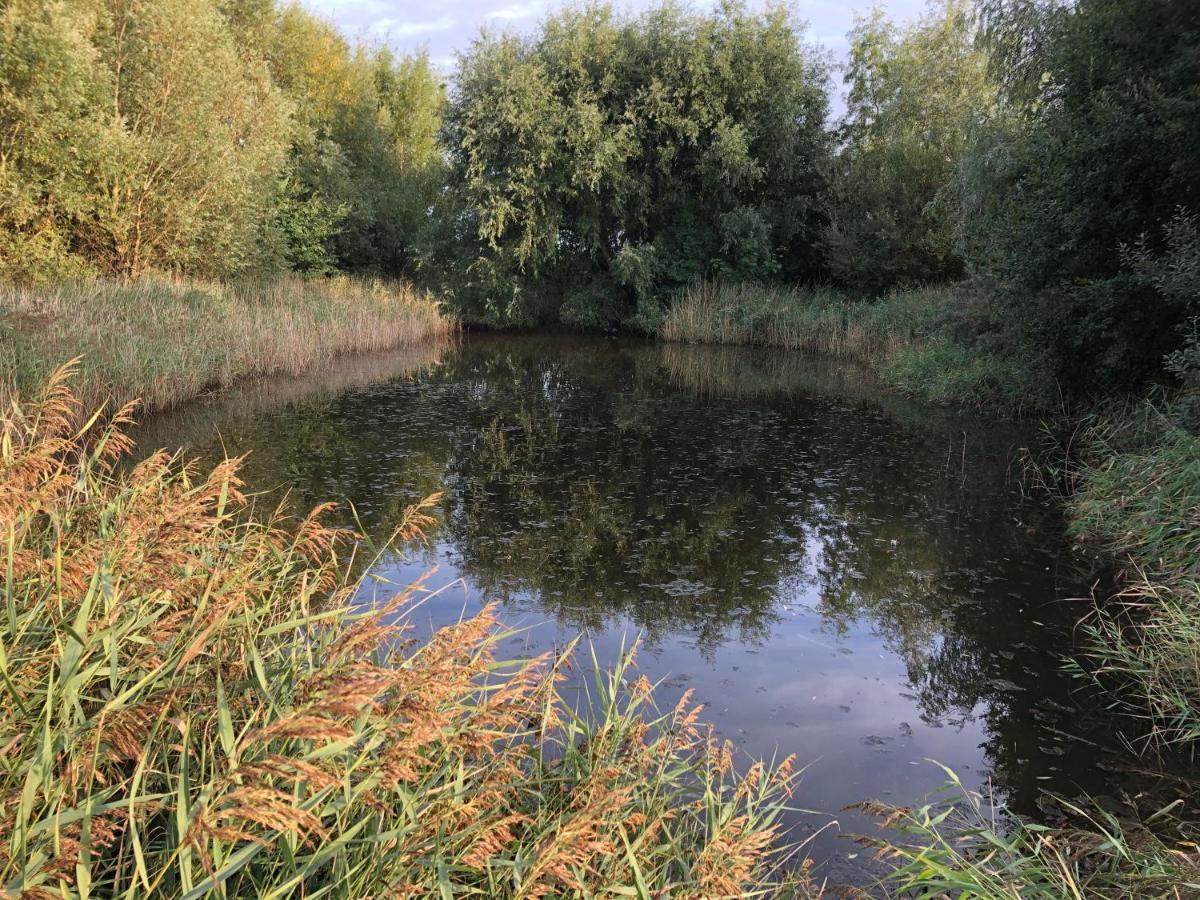 De Luxe Met Veel Faciliteiten Dichtbij En Natuurgebied Westkapelle